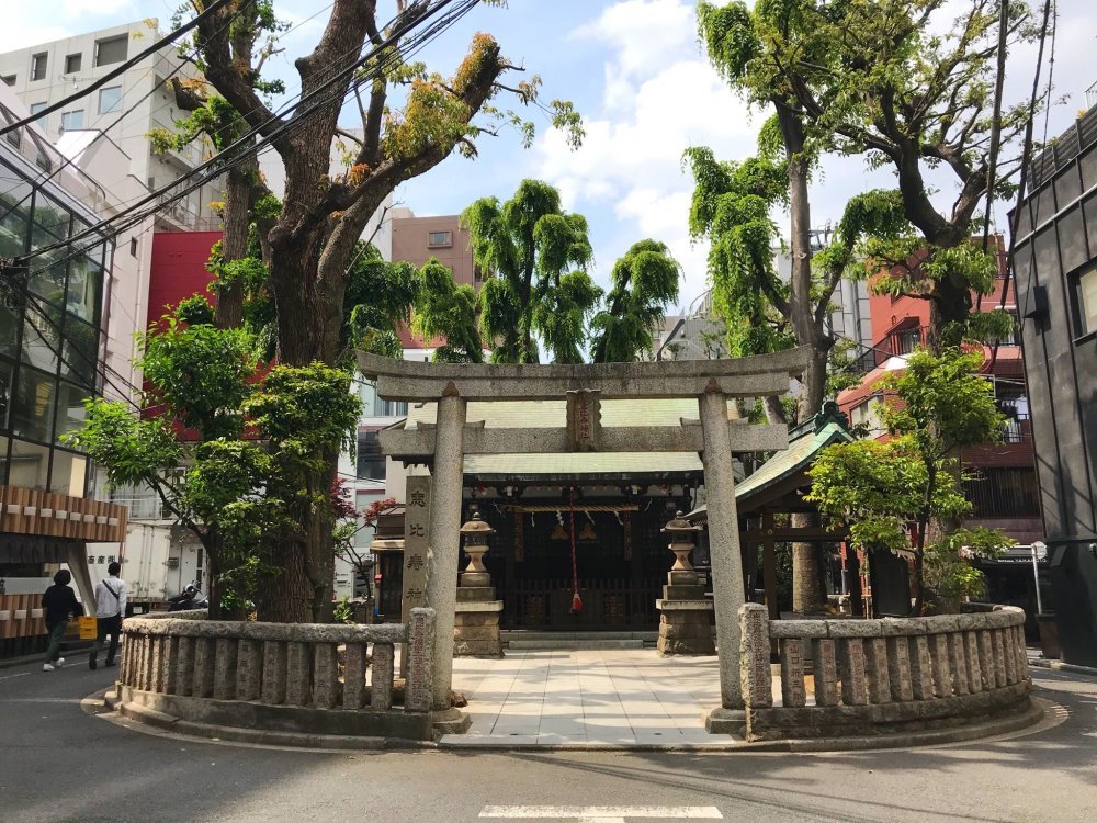 ⛩️ 에비스 신사 이미지 1